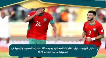 عاجل اليوم.. دليل القنوات المجانية بجودة HD لمباراة المغرب وزامبيا في تصفيات كأس العالم 2026